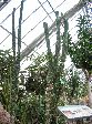 003_2009-0118-1020-13.jpg
